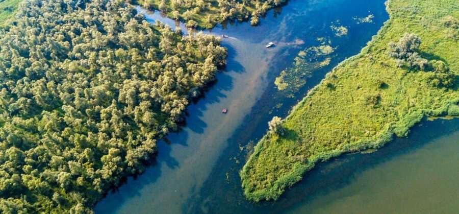 Biesbosch: Boat Cruise through National Park - The wildlife: what you can realistically expect