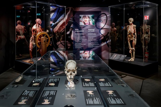 Body Worlds Amsterdam Admission Ticket - The Happiness Project gives the visit a wider purpose