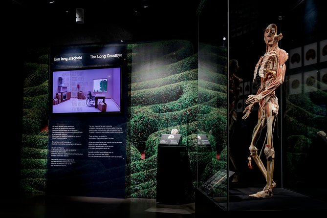 Body Worlds Amsterdam Admission Ticket - Is the $27.21 ticket good value?