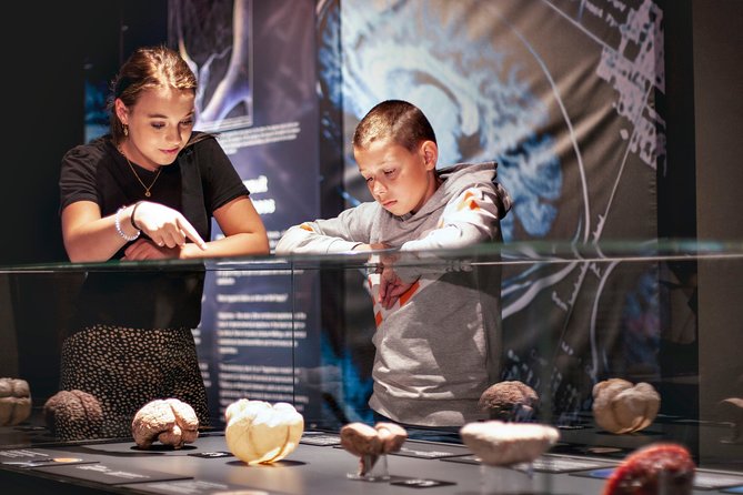 Body Worlds Amsterdam Admission Ticket - A practical route through the 1.5 to 2-hour visit