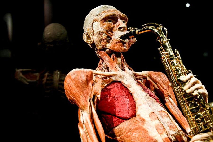 Body Worlds Amsterdam: The Happiness Project Ticket - Key things to know before you go