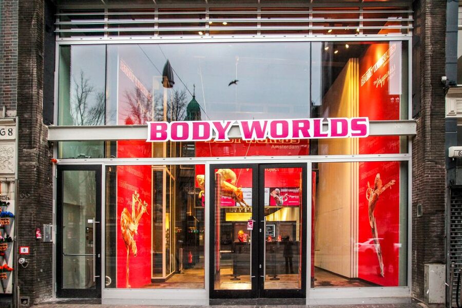 Body Worlds Amsterdam: The Happiness Project Ticket - Real bodies make anatomy feel immediate