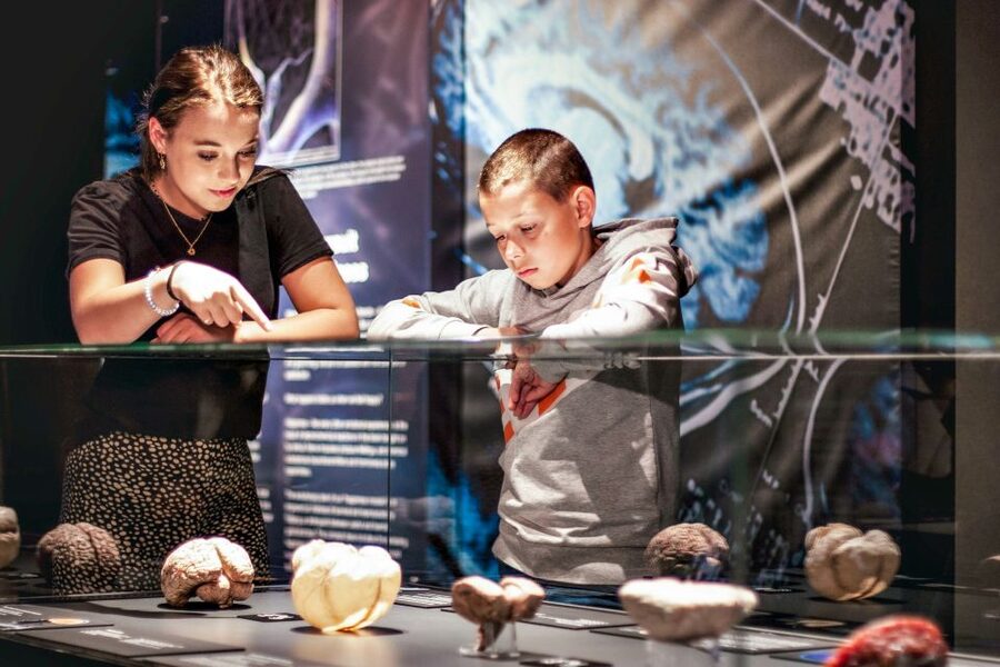 Body Worlds Amsterdam: The Happiness Project Ticket - Audio guides and written information