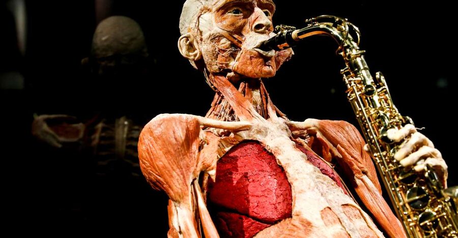 Body Worlds Amsterdam: The Happiness Project Ticket - Start upstairs and follow the human body downward