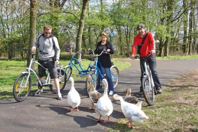 Cheese, Canals & Windmill Countryside E-Bike Tour Amsterdam - Weather, clothing, and the honest drawbacks
