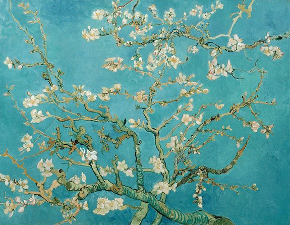 Combo Ticket: Van Gogh Museum Ticket and 1-Hour Canal Cruise - Why advance museum entry matters in Amsterdam