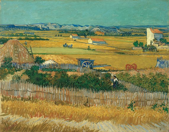 Combo Ticket: Van Gogh Museum Ticket and 1-Hour Canal Cruise - What the boat ride is like