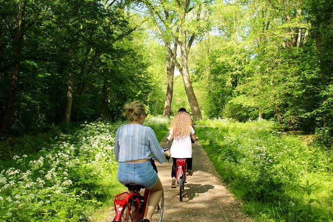 Countryside Fishermen Villages & Cheese E-bike Tour - Krijtmolen dAdmiraal and the working past of Dutch windmills