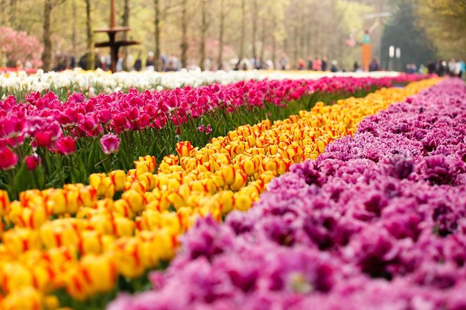 Day Trip to Keukenhof Gardens from Amsterdam with Tour Guide - Leaving Amsterdam for Keukenhof