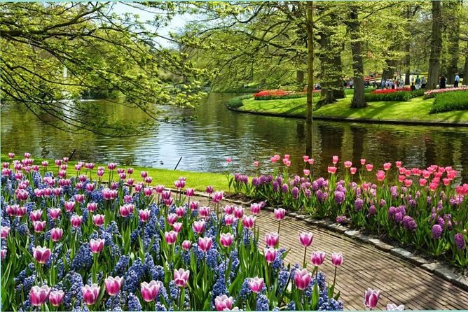 Day Trip to Keukenhof Gardens from Amsterdam with Tour Guide - Is $71.20 a good value?