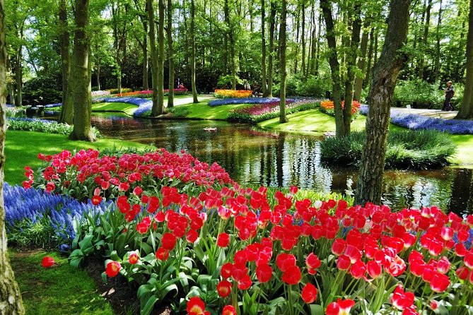 Day Trip to Keukenhof Gardens from Amsterdam with Tour Guide - Weather, crowds, and walking pace