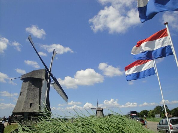 Discover Holland’s Beautiful Tulip Fields with an Expert Guide - Key points to know before you book