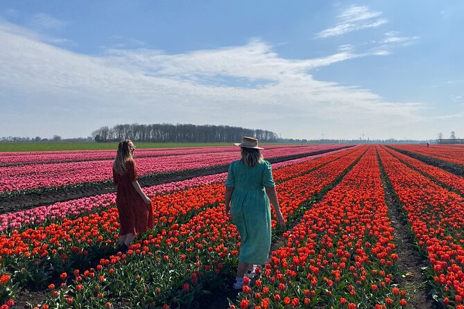 Discover Holland’s Beautiful Tulip Fields with an Expert Guide - Onderdijk lunch and the Geradus Majella church