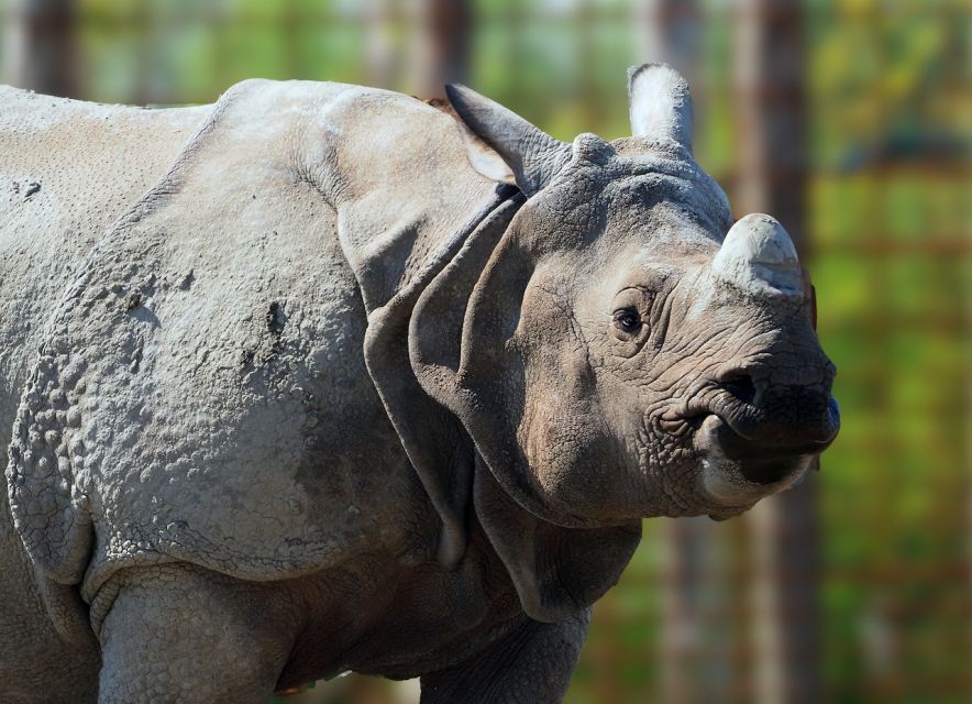 Eindhoven Zoo Entry Ticket - Key points to know before you go