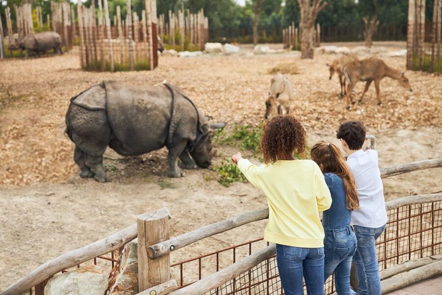Eindhoven Zoo Entry Ticket - What your day at Eindhoven Zoo feels like
