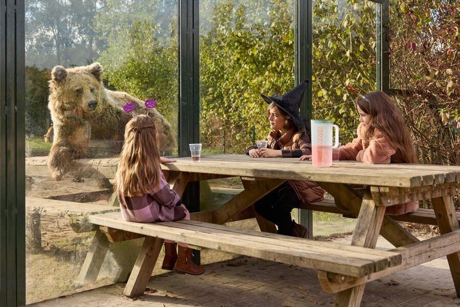 Eindhoven Zoo Entry Ticket - Is $28 a fair price?