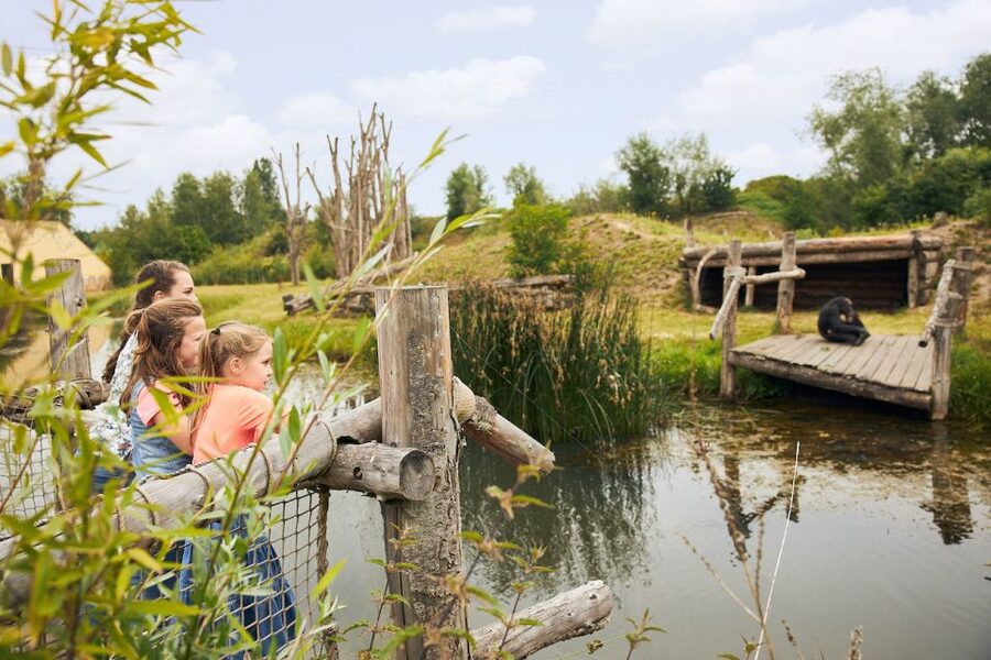 Eindhoven Zoo Entry Ticket - Accessibility and what to pack