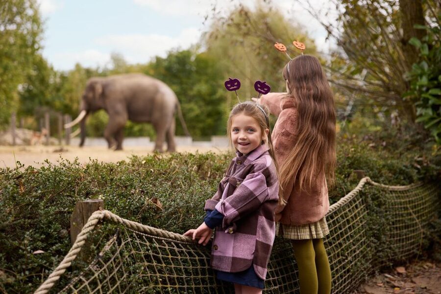 Eindhoven Zoo Entry Ticket - Who will enjoy Eindhoven Zoo most?