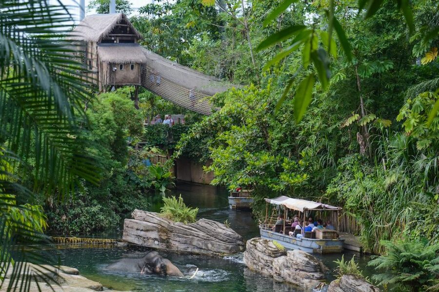 Emmen: Wildlands Adventure Zoo and Rimbula River Boat Ride - Food, rest stops, and practical comfort