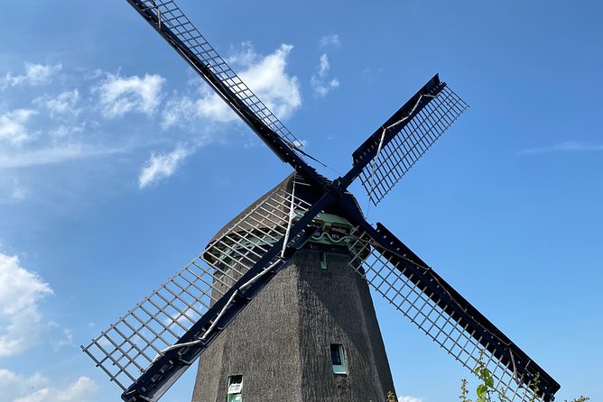 Escape Amsterdam: E-Bike to Zaanse Schans Windmills & Zaandam - Zaandam and the curious Inntel-style architecture