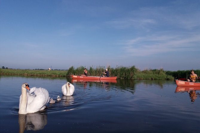 Fresh nose tour with the canoe through the nature near Amsterdam - Who will enjoy this outing most