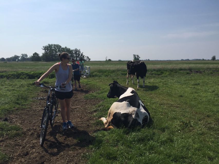 From Amsterdam: Countryside Bike Tour - Holysloot and the apple pie break
