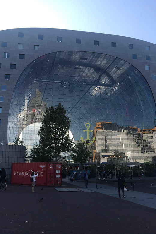 From Amsterdam: Day Tour to Rotterdam, Delft and The Hague - Guides and the value of the minivan