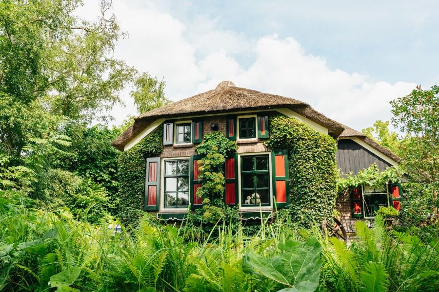 From Amsterdam: Giethoorn & Zaanse Schans Tour w/ Small Boat - My verdict on Giethoorn and Zaanse Schans