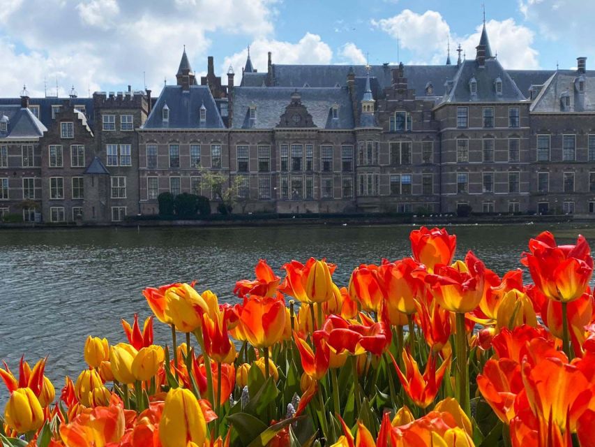 From Amsterdam: Guided Trip to Rotterdam, Delft & The Hague - Rotterdam: modern architecture in a short visit