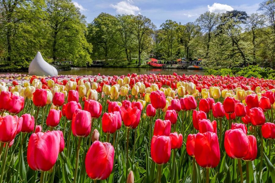 From Amsterdam: Keukenhof and Dutch Countryside Tour - Keukenhof and the seven million bulbs