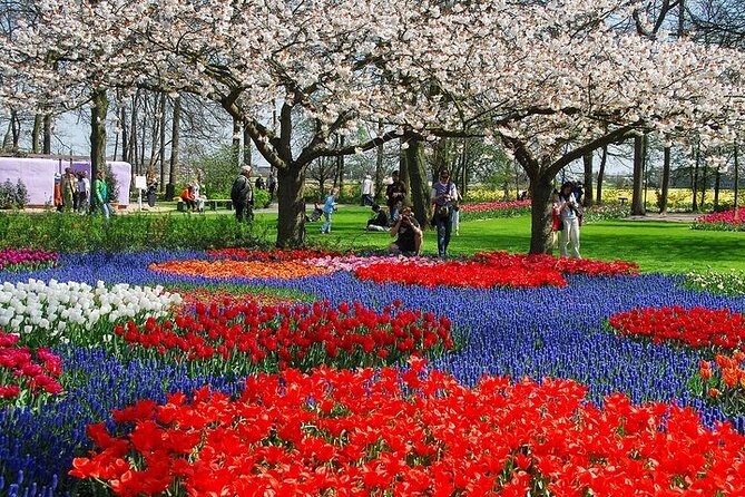 From Amsterdam: Keukenhof Gardens Ticket and Transfer - Why Keukenhof earns a place in your spring plans