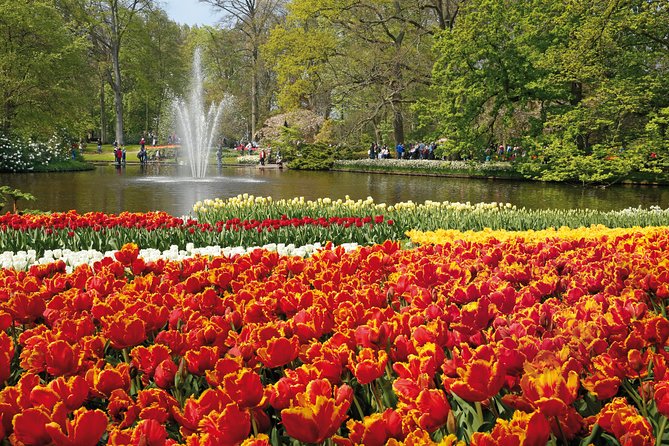 From Amsterdam: Keukenhof Gardens Ticket and Transfer - Returning to Amsterdam without the worry