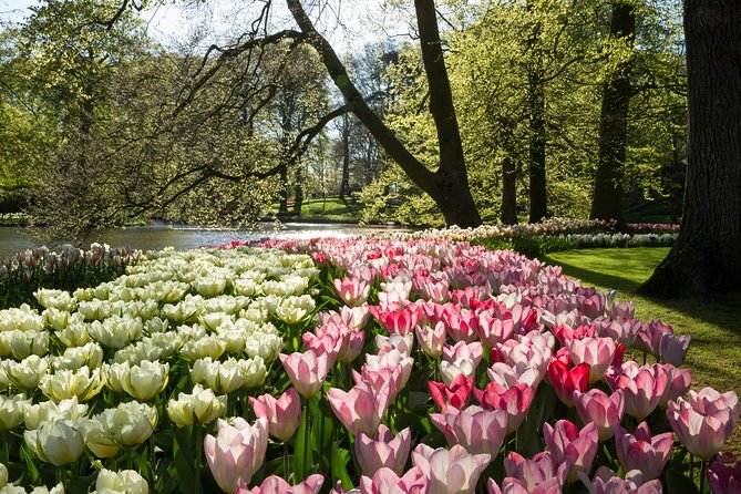 From Amsterdam: Keukenhof Gardens Ticket and Transfer - Canal cruise add-on: useful, but check your package