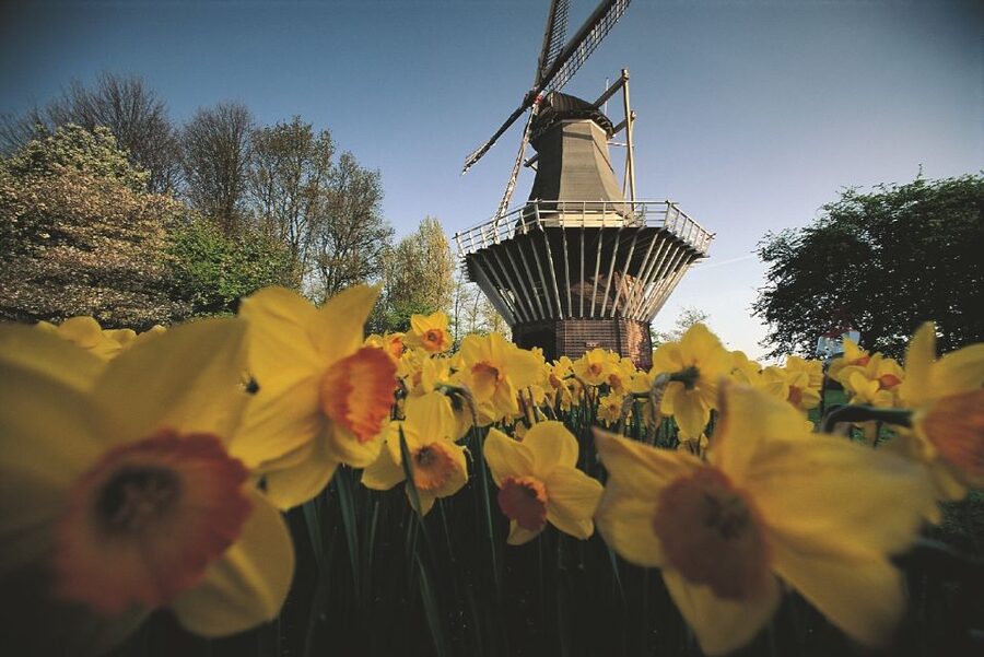 From Amsterdam: Keukenhof Gardens & Tulip Experience Tour - When to go for the best flower display