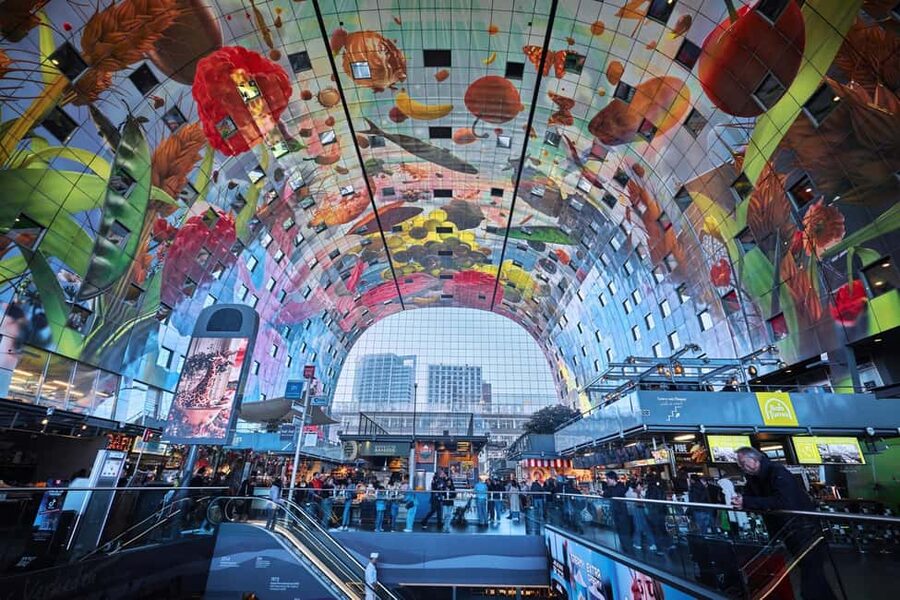 From Amsterdam: Rotterdam, Delft & The Hague Guided Day Tour - Who should book this day tour?