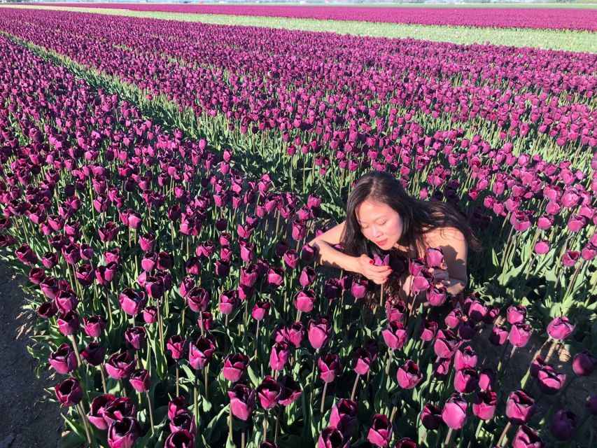 From Amsterdam: Tulip Tour Keukenhof & City Tour Delft - Should you book the Keukenhof and Delft tour?