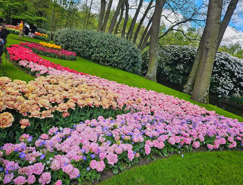 From Amsterdam: Tulip Tour Keukenhof & City Tour Delft - Delft Blue pottery and a hands-on tradition
