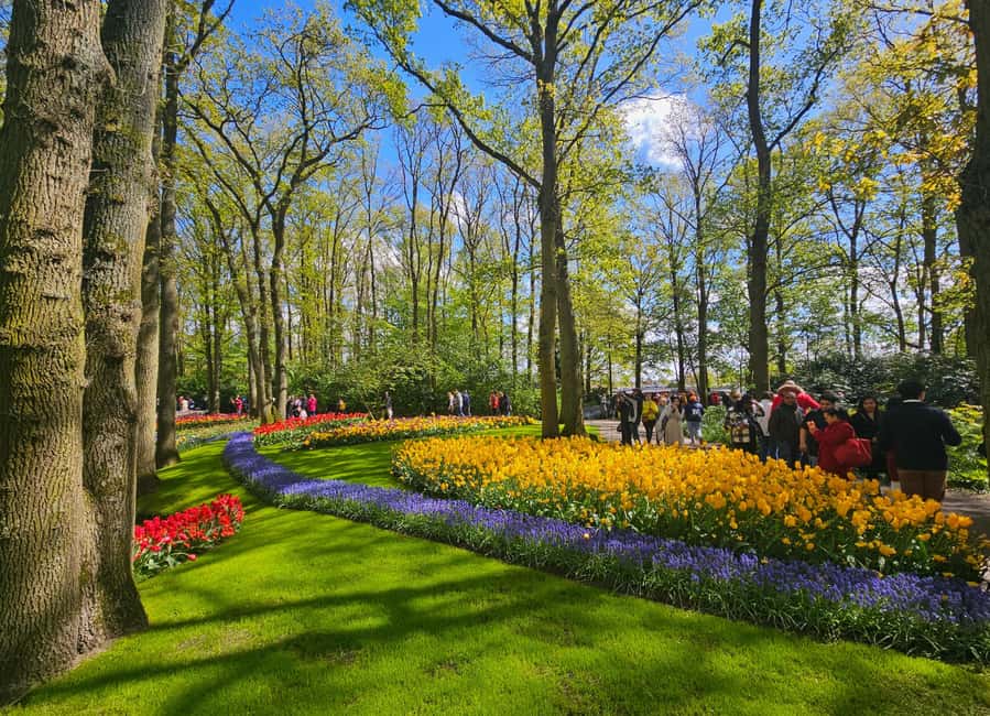 From Amsterdam: Tulip Tour Keukenhof & City Tour Delft - Walking, children, bags, and access