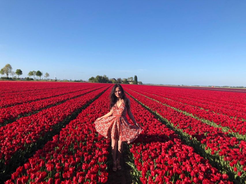 From Amsterdam: Tulip Tour Keukenhof & City Tour Delft - Who will enjoy this day most