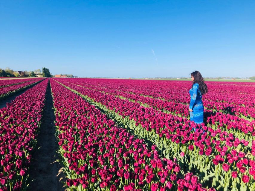 From Amsterdam: Tulip Tour Keukenhof & City Tour Delft - Keukenhof before noon: the main event