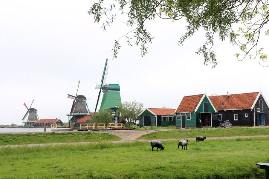 From Amsterdam: Windmills of Zaanse Schans Tour - What the $29 price really covers