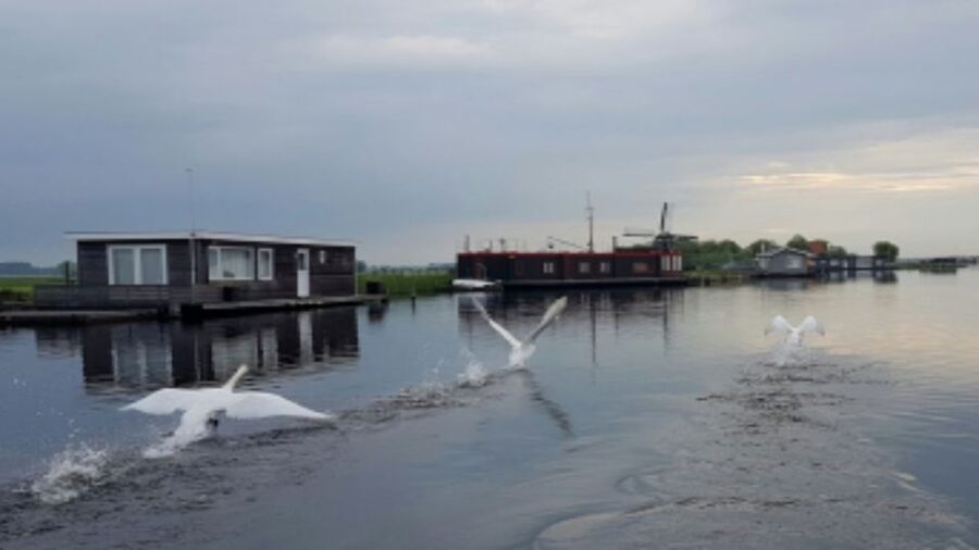 From Katwijk: Kaag Lakes Cruise - What the 2.5-hour cruise is like