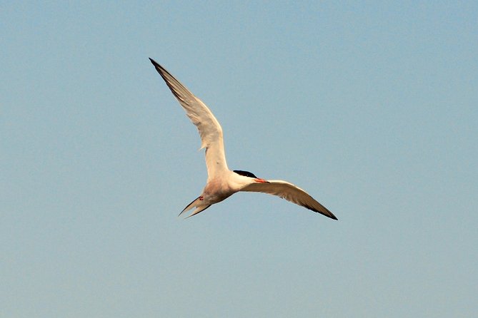 Full day tour to Texel - Friesian Islands - from Amsterdam - Meeting the Tour at De Ruijterkade