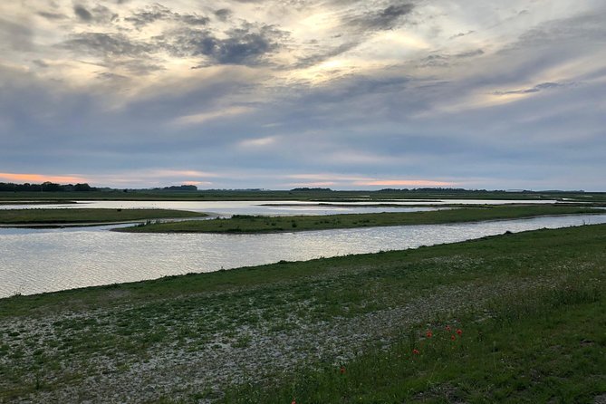 Full day tour to Texel - Friesian Islands - from Amsterdam - Weather Is Part of the Experience