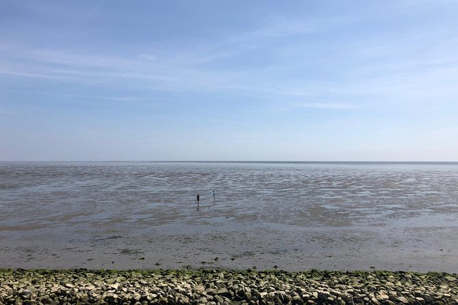Full day tour to Texel - Friesian Islands - from Amsterdam - Who Will Enjoy This Texel Tour?