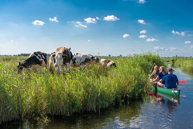 Guided Canoe Adventure with Picnic Lunch in Waterland from Amsterdam - Key details at a glance