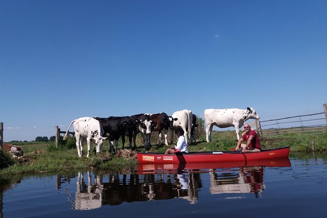 Guided Canoe Adventure with Picnic Lunch in Waterland from Amsterdam - What Majel adds to the day