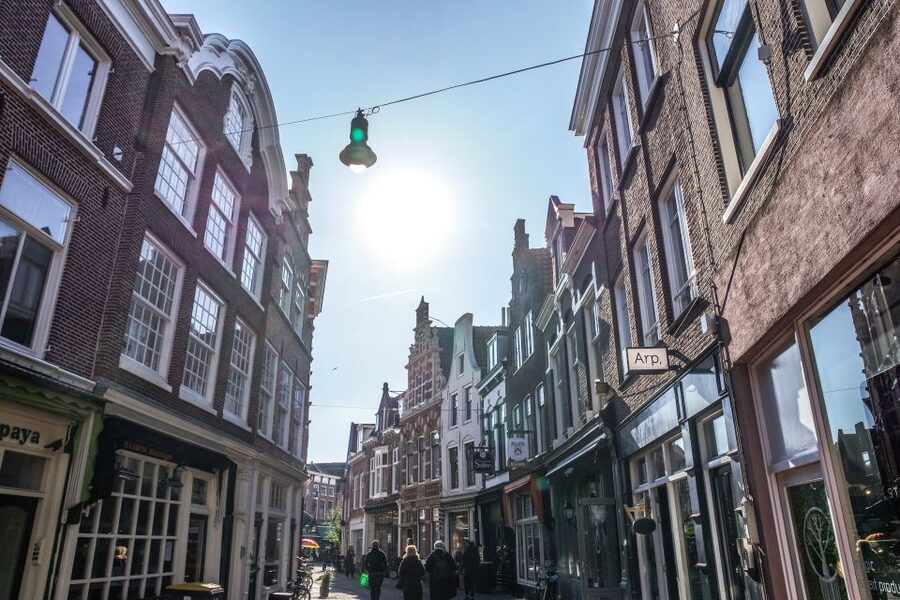 Haarlem: City Highlights Walking Tour - Grote Markt and the city’s main stage