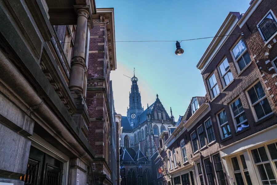 Haarlem: City Highlights Walking Tour - What the guide adds to the experience