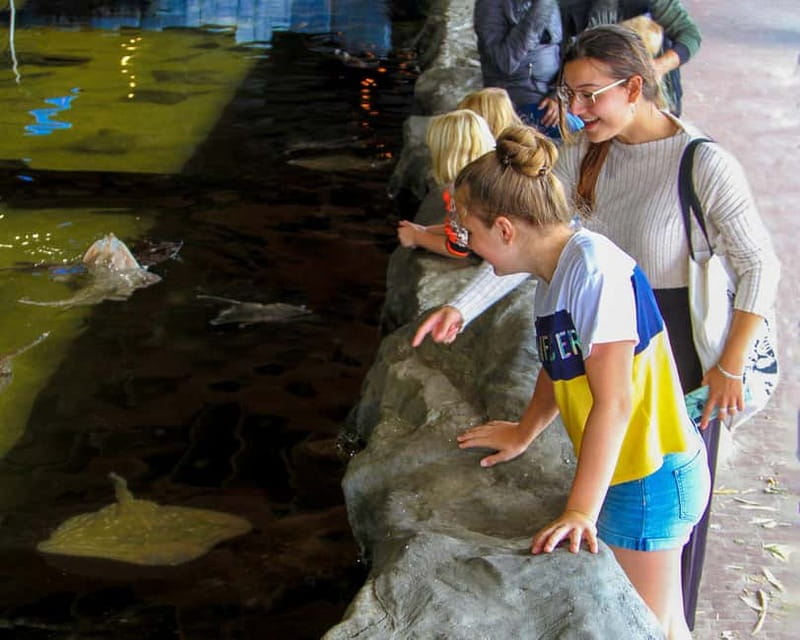 Harderwijk: Dolfinarium Entry Ticket - Who will enjoy Dolfinarium most